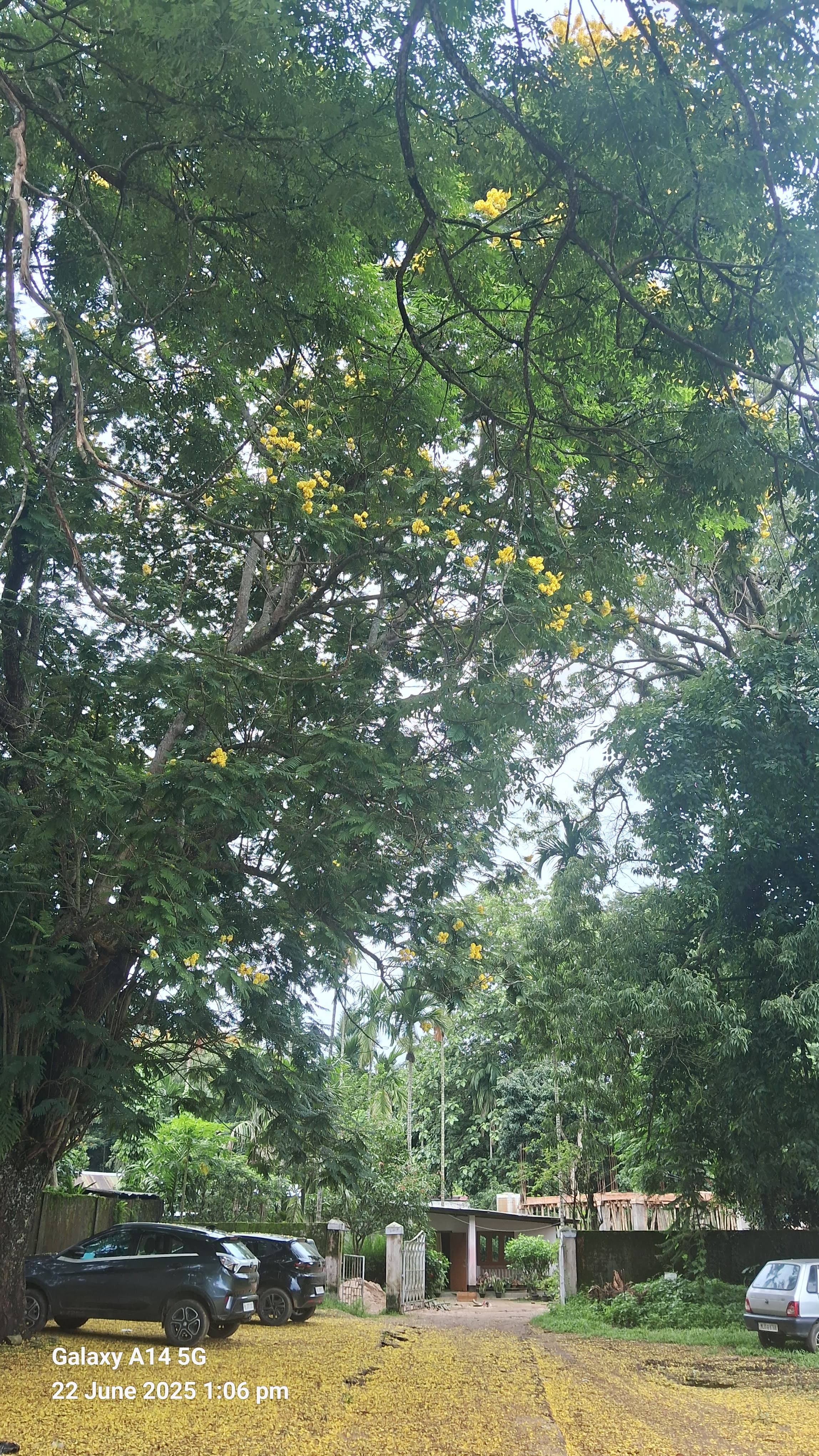 Nokgil A.we College Comp